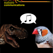 Universal mechanisms of sound production
